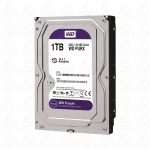 هارد 1 ترابایت بنفش وسترن دیجیتال شرکتی